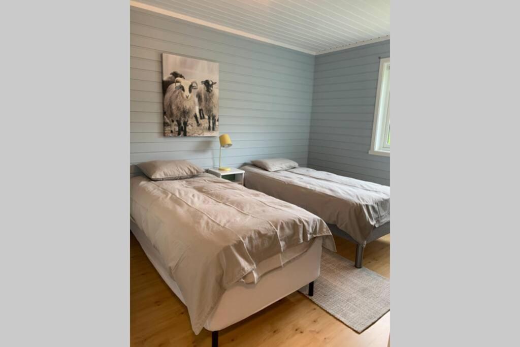 Efjord And Stetind Resort - Cabin Kobbernestinden Ballangen Dış mekan fotoğraf