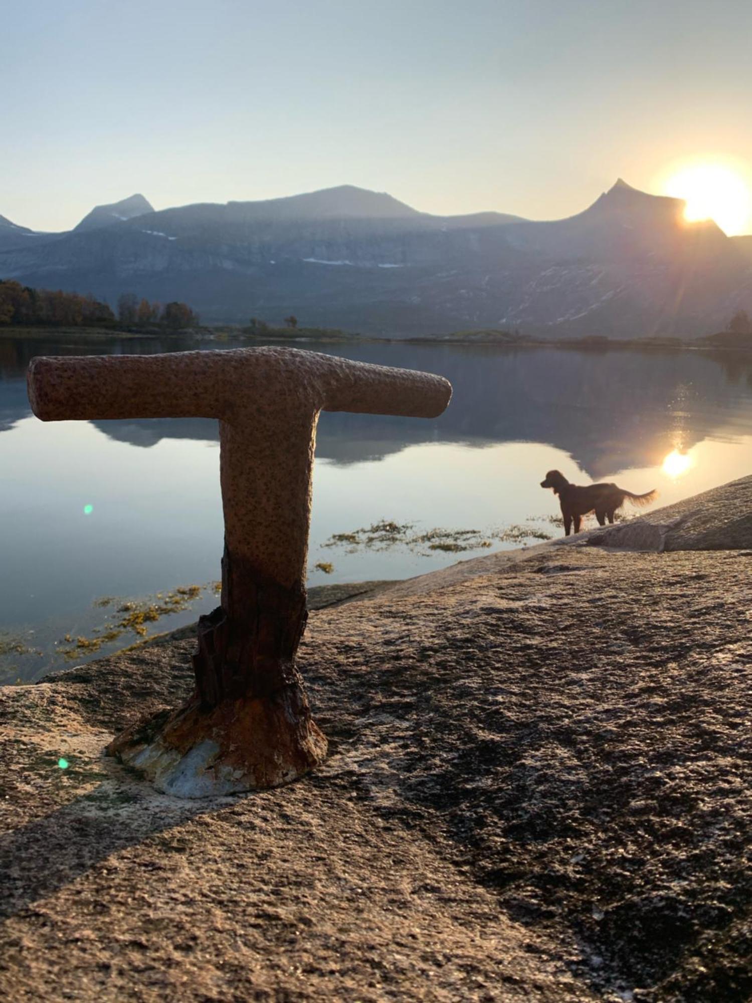 Efjord And Stetind Resort - Cabin Kobbernestinden Ballangen Dış mekan fotoğraf